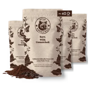 coffe_updated_bg_4
